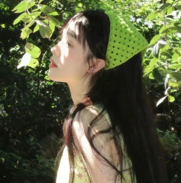 女王密使封面